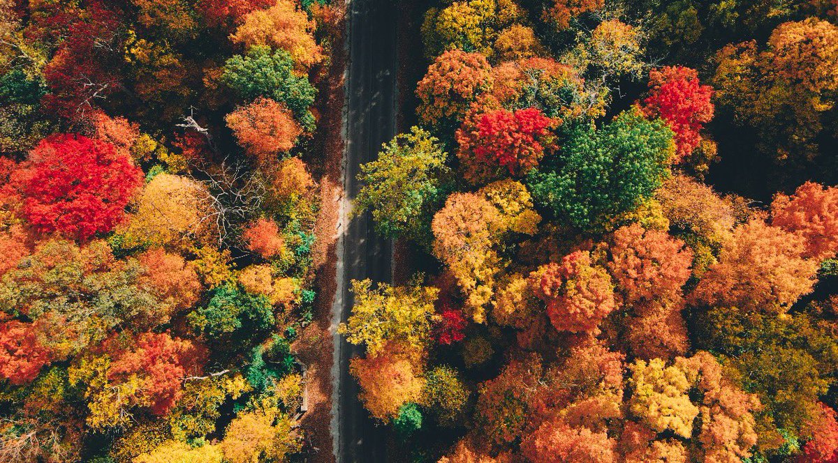 CadenKooken's tweet photo. Some pictures I took with my drone this week https://t.co/yACaFNE3Dp