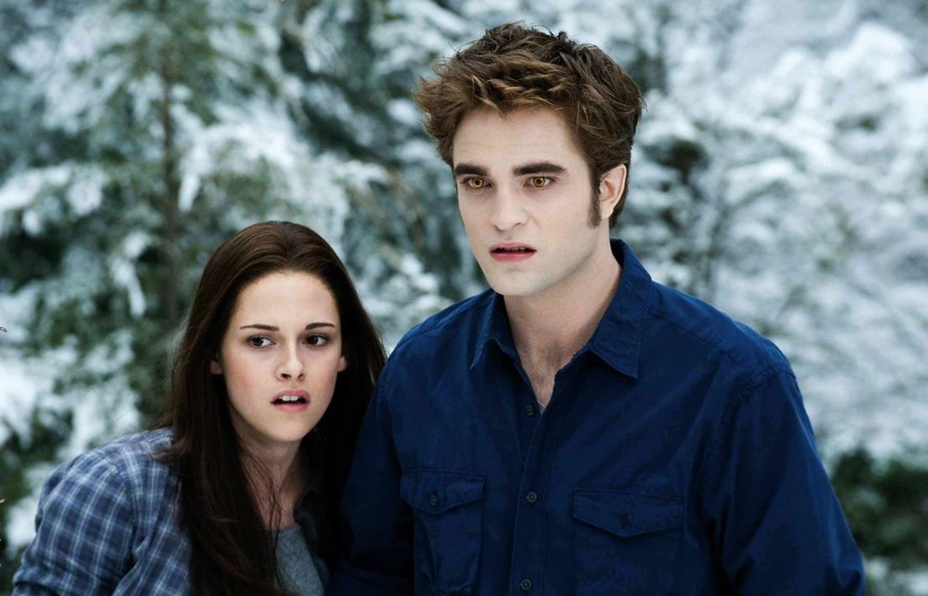 รีวิว twilight 2010