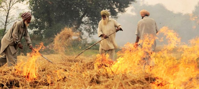 The Punjab govt in February this year constituted a committee under retd justice Metab Singh Gill who convened a meeting to discuss  #stubbleburning and acknowledged the need to give cash subsidies to small and medium farmers. "Not a single meeting has been convened since then."