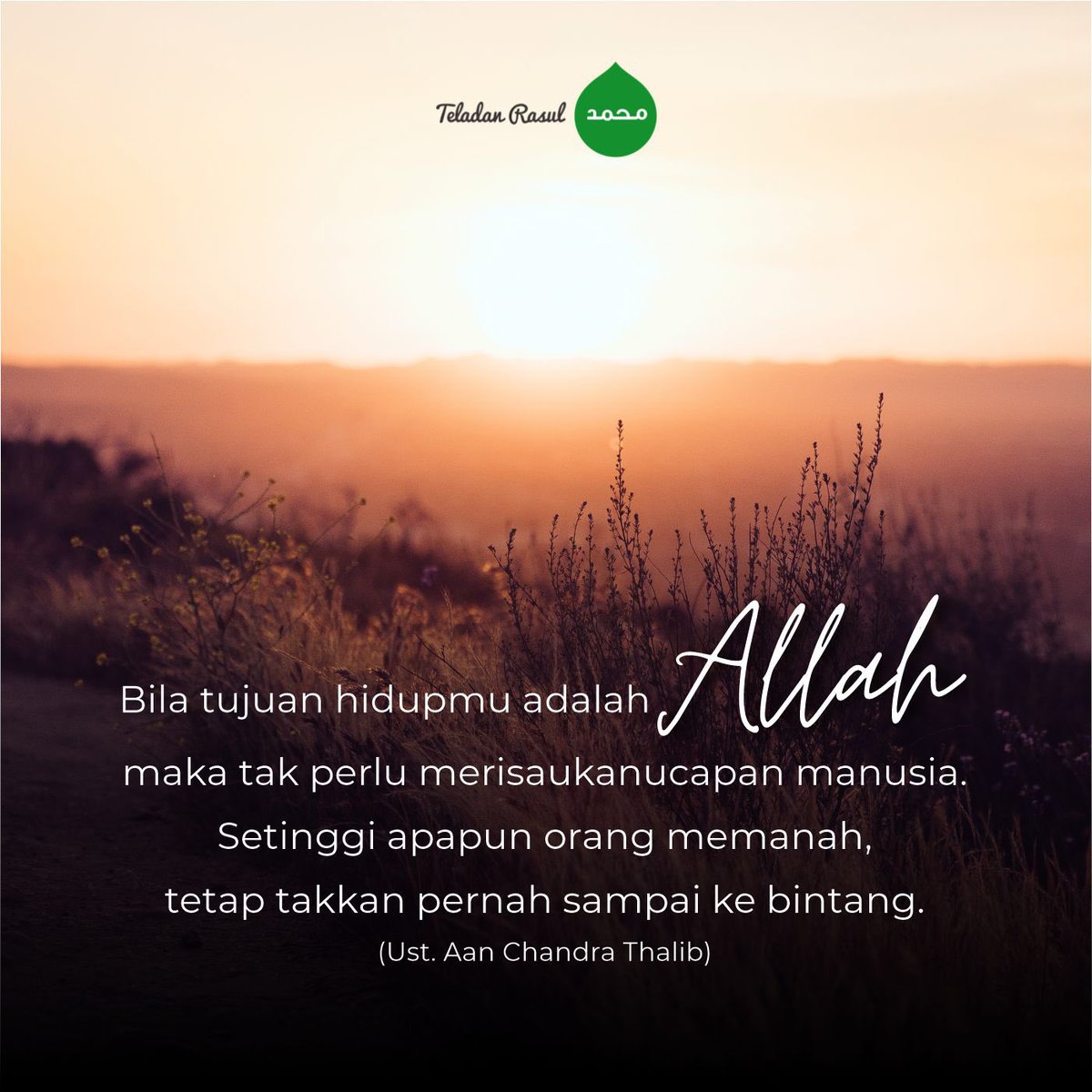 TeladanRasul tweet picture
