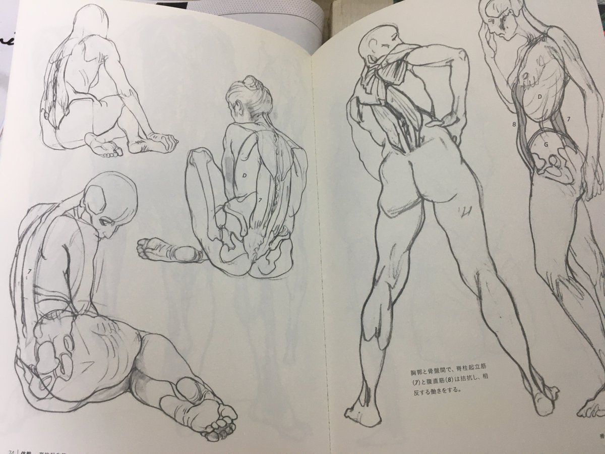 No 1 モルフォ人体デッサン 何よりも1番におすすめしたい本 これを一周模写 三上 鮎子 イラストレーター Ayuko Mikamiの漫画