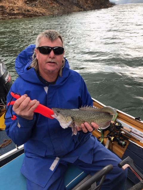 eildonpondagehp's tweet photo. Caught on Lake Eildon last weekend. Try your luck and throw a line in, the Alliance Boat Ramp is less than 5 minute drive from the Park, or fish straight from the Park into the Pondage! 🎣😁

#eildon #lakeeildon #eildonpondage #anglers #fishing #victoria #murrindindi https://t.co/2zp6bUk29Z