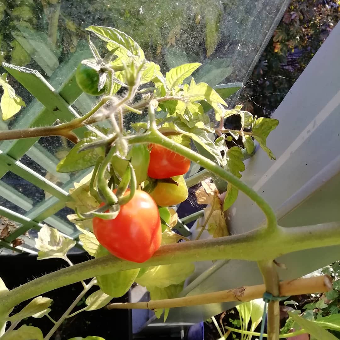 Vinn Goute tweet media