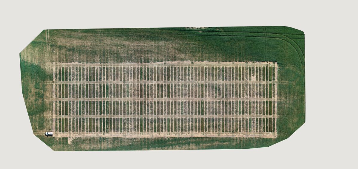 MsfMallee's tweet image. How far can we push the benefits of deep ripping?
@Moodie_ag MSF&apos;s Key Research Agronomist from Frontier Farming Systems provides a quick lowdown on this @AusLandcare funded trial site. WATCH HERE: youtu.be/7mX2ziw7oHQ #LockdownLowdownVideoSeries #MSFProjects