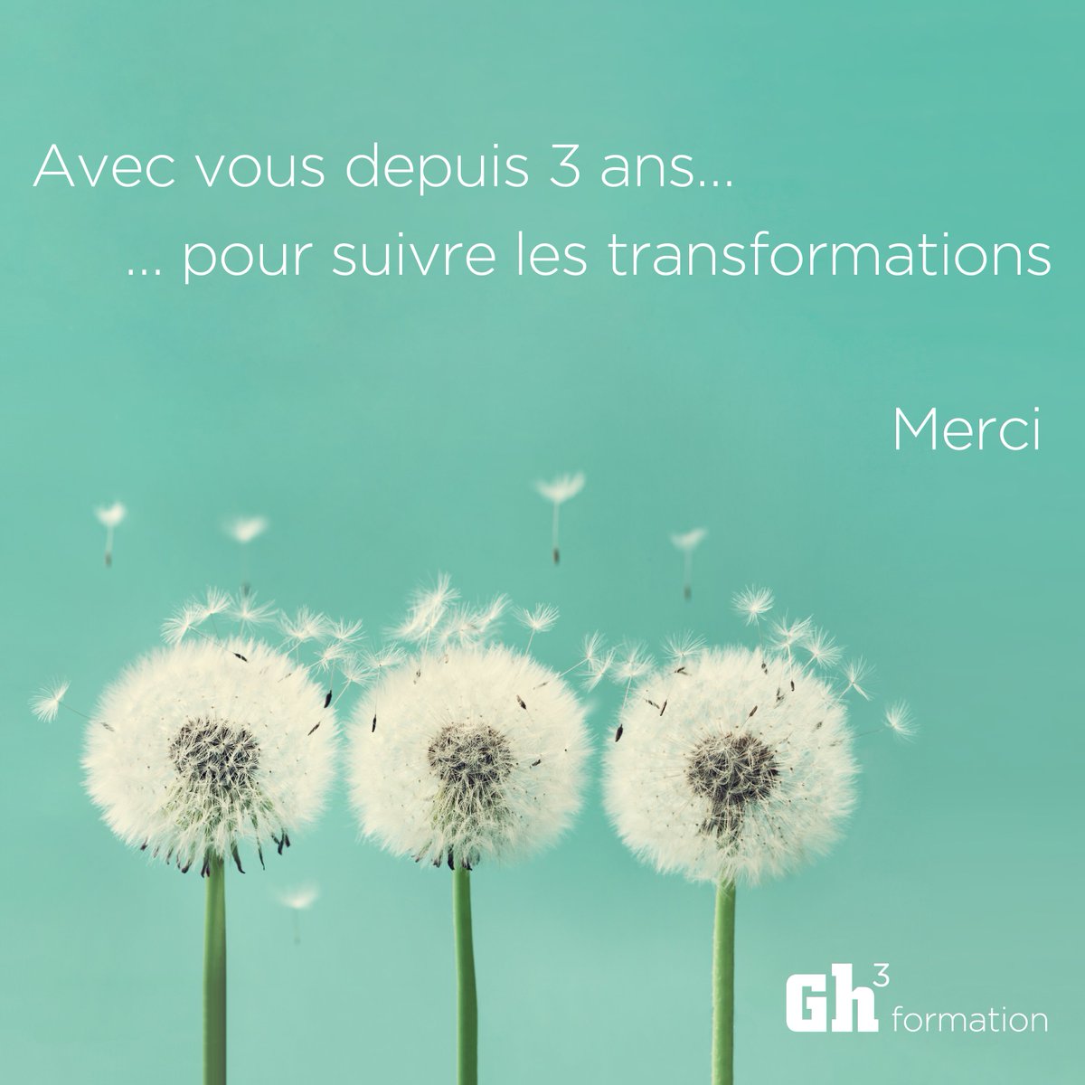 GH3 formation tweet media