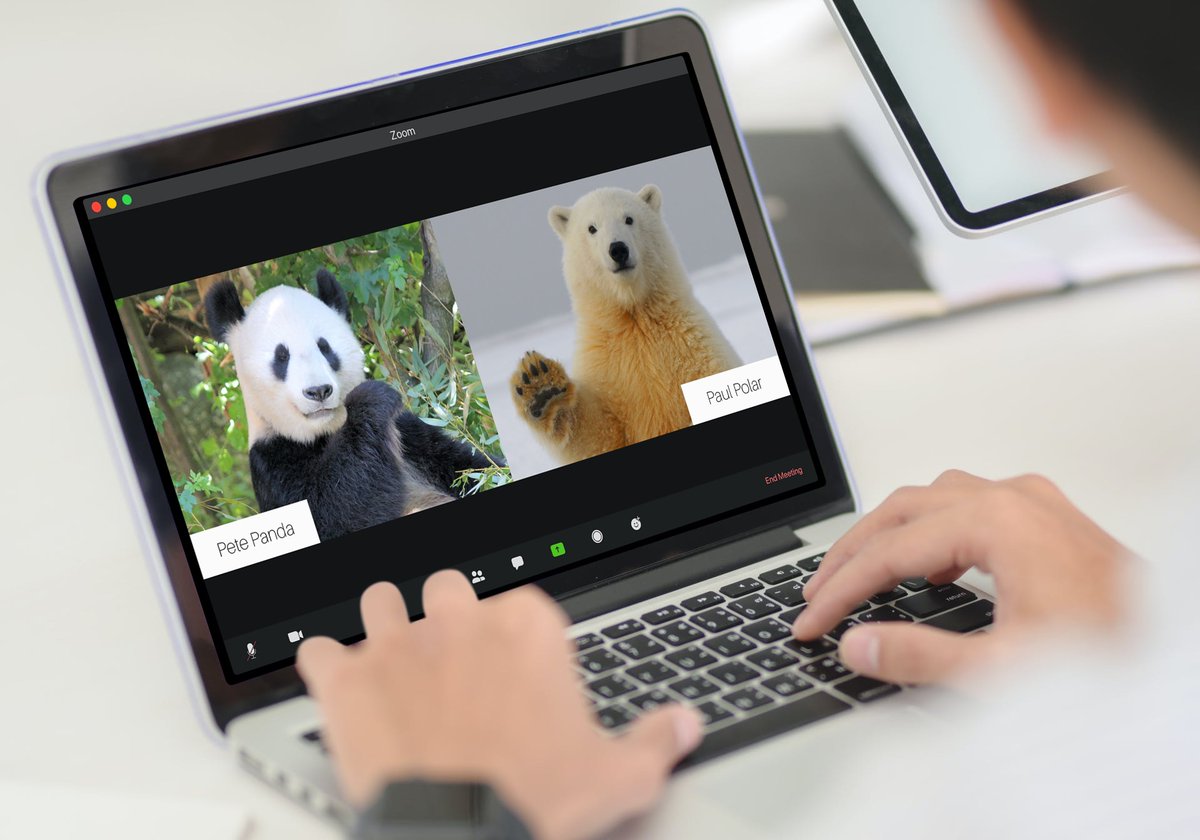 It goes without saying that many features of a great #presentation stand true whether you’re making it in person or remotely but there’s a real knack to getting it right when you’re not in the same room. 💻

Get downloading our FREE guide! 

🆓 - ow.ly/aK9r50BEkdF