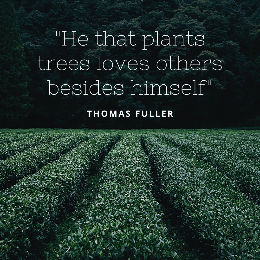 Planting a tree is like opening a safety deposit. It will pay you rich dividends when the time has come.
#planttrees #plantingtrees #planttreessaveearth #ecoconscious #ecoconsciousliving #ecofriendly #savetheplanet #savetheworld #greenerworld #greenliving #greenquotes #gogreen