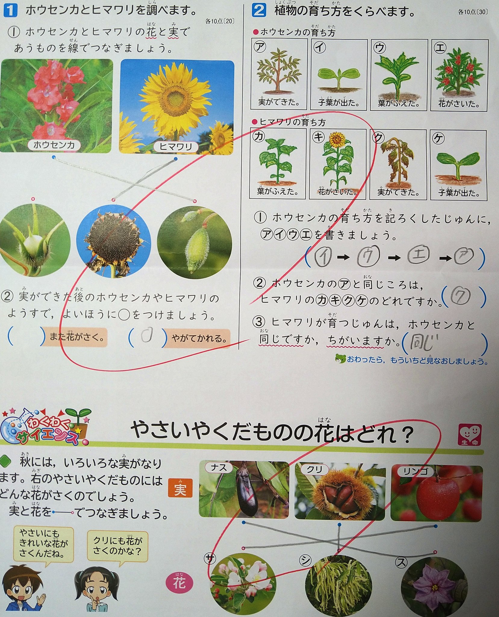 Twitter 上的 完全個別指導塾ceeds 理科 の勉強が不安だという 小3の生徒さん 動物のすみか 植物の育ち方 の テスト をがんばりました 問いへの答え方を 予習 して のぞんだことが点数で表れ 理科のイメージが一変 予習をしたいと言ってくれる ようになりました