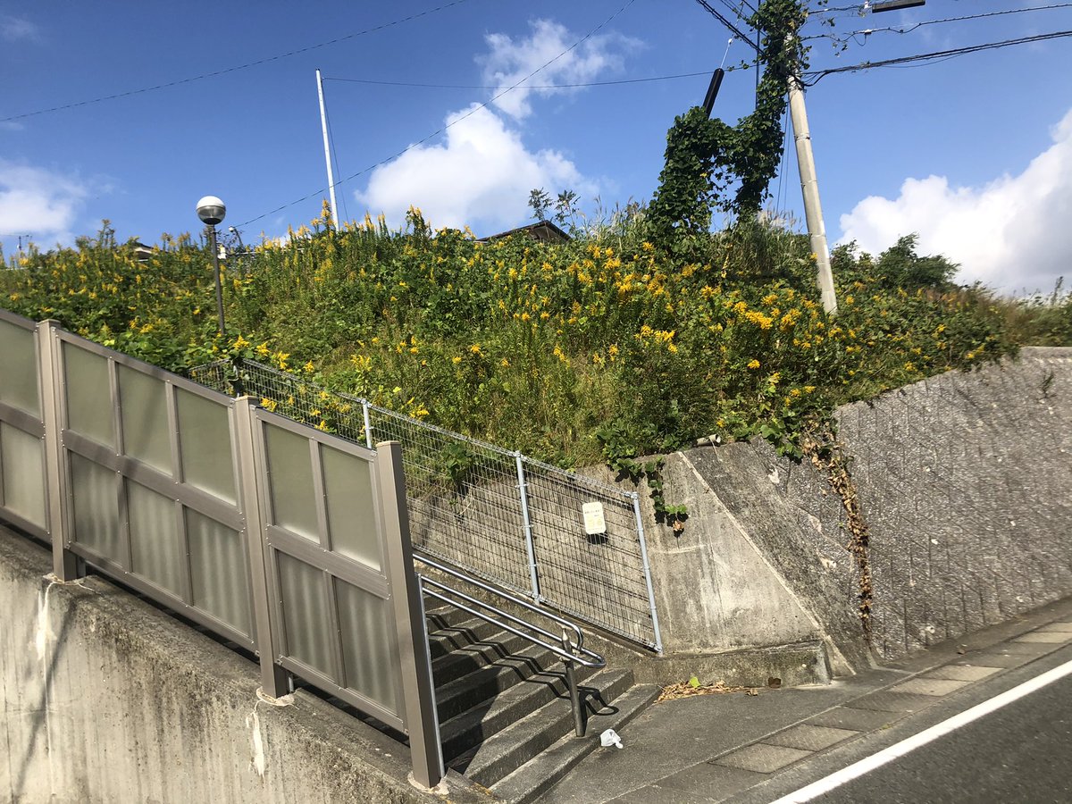 AOflSizsNQ1DMaf's tweet photo. 10月21日(水) 福岡県太宰府市向佐野4丁目付近で、居なくなりました。 オス猫(ハチワレ猫)のポトフです。 見つけた方、保護していただいた方、どんな些細な情報でもDMいただきたいです！！🙇‍♂️ #迷い猫 #福岡 #太宰府 #向佐野 #太宰府市向佐野4 #猫 #ネコ #お願いします https://t.co/sqp5fUxbsW