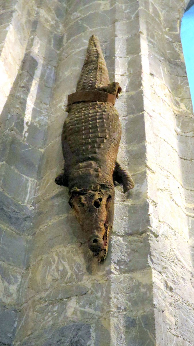 These aren’t ceiling crocodiles, but in Saint-Bertrand de Comminges cathedral one is a wall croc that has overtime lost its eyes, I was able to find a before image. There also apparently appears to be a more traditionally hung crocodile in the same cathedral apparently.