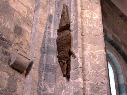 These aren’t ceiling crocodiles, but in Saint-Bertrand de Comminges cathedral one is a wall croc that has overtime lost its eyes, I was able to find a before image. There also apparently appears to be a more traditionally hung crocodile in the same cathedral apparently.