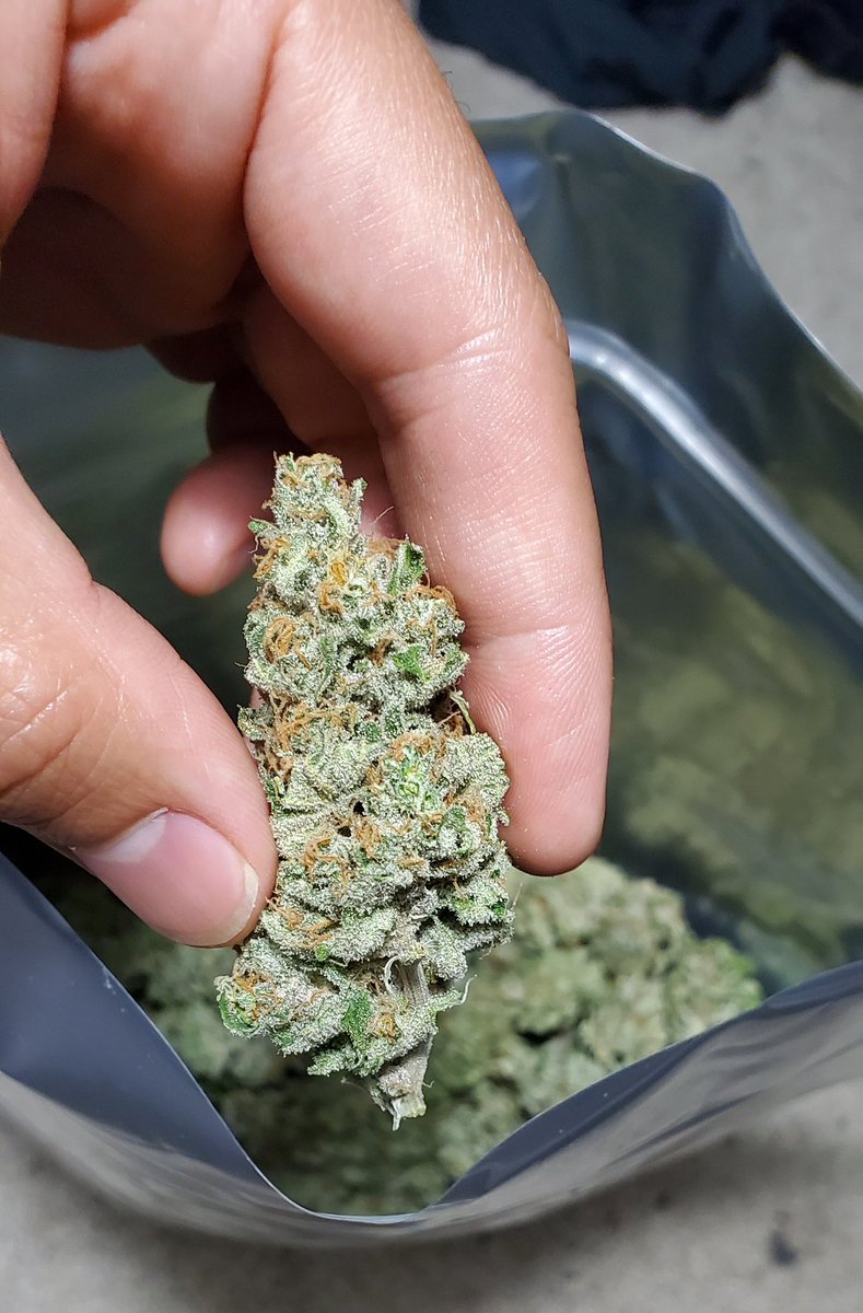 eddie_ether's tweet photo. Resell is cool, and I dig all my like minded Gary vee motivated hustlers on here, but I'm gonna get back into my lane. 

I've been an artist since the beginning, gifted on pen and paper, my current canvas is Cannabis. 

Hope y'all fucking with me because I'm on the way up. https://t.co/fNunaadjqM