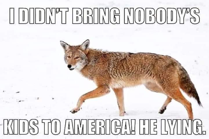 SaysJrab's tweet photo. 🤣🤣🤣🤣😭🥴 https://t.co/nS1xVr6Om3