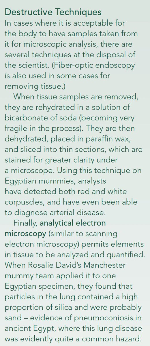 Additionally, the studying of remains must be done very carefully. Biers’ lab must make careful decisions about when destructive sampling happens; both preserving remains and discovering new knowledge are equally important to archeology. 11/14