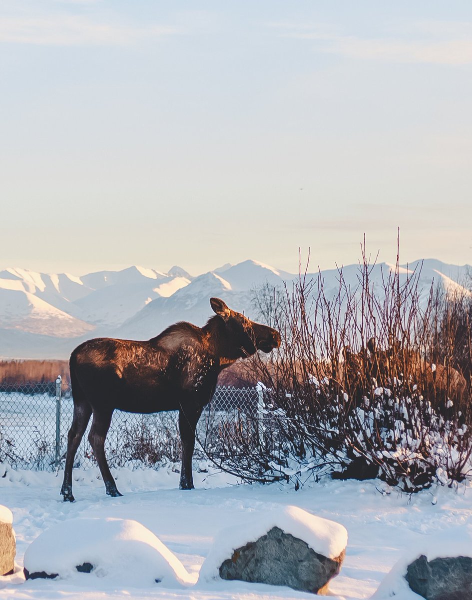 viewswithellen's tweet image. winter is here, you ready? ❄️