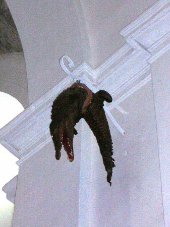 I also found this guy hanging in the church of Santa Maria della Vergini and this guy was brought over by crusaders and apparently was killed by a farmer who stabbed it with a pitchfork in the belly because like a dragon, nothing could penetrate its scales on its back.