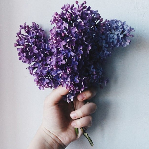 Привет всем! Доброе утречко. Вы рады, что скоро новый год? 🥺💜
Я знаю что уже не будет прежде, но я верю что мой новый год пройдет хорошо 💜
Хорошего дня💜