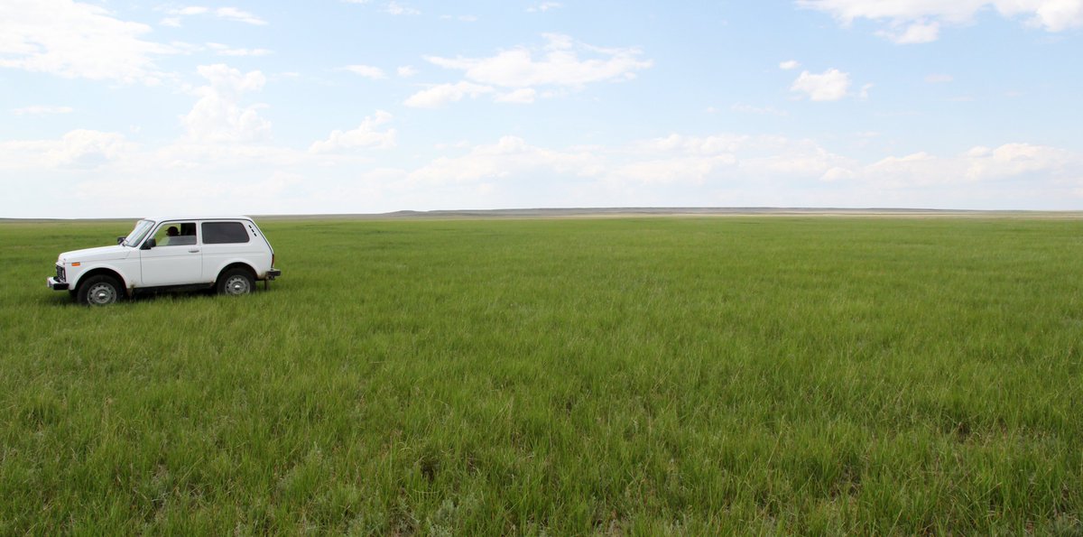 Johannes Kamp (@kampjohannes.bsky.social) (@kampjohannes) on Twitter photo From Tulips to Turf: Decrease in livestock grazing results in increased #wildfire frequency in #Kazakhstan --> Massive changes in Eurasian steppe vegetation, potentially affecting 2 million km²
<a href="/freitag_martin/">Martin Freitag</a> 's MSc thesis now out in <a href="/GlobalChangeBio/">Global Change Biology</a>: bit.ly/2Tl8kMO From Tulips to Turf: Decrease in livestock grazing results in increased #wildfire frequency in #Kazakhstan --> Massive changes in Eurasian steppe vegetation, potentially affecting 2 million km²
<a href="/freitag_martin/">Martin Freitag</a> 's MSc thesis now out in <a href="/GlobalChangeBio/">Global Change Biology</a>: bit.ly/2Tl8kMO