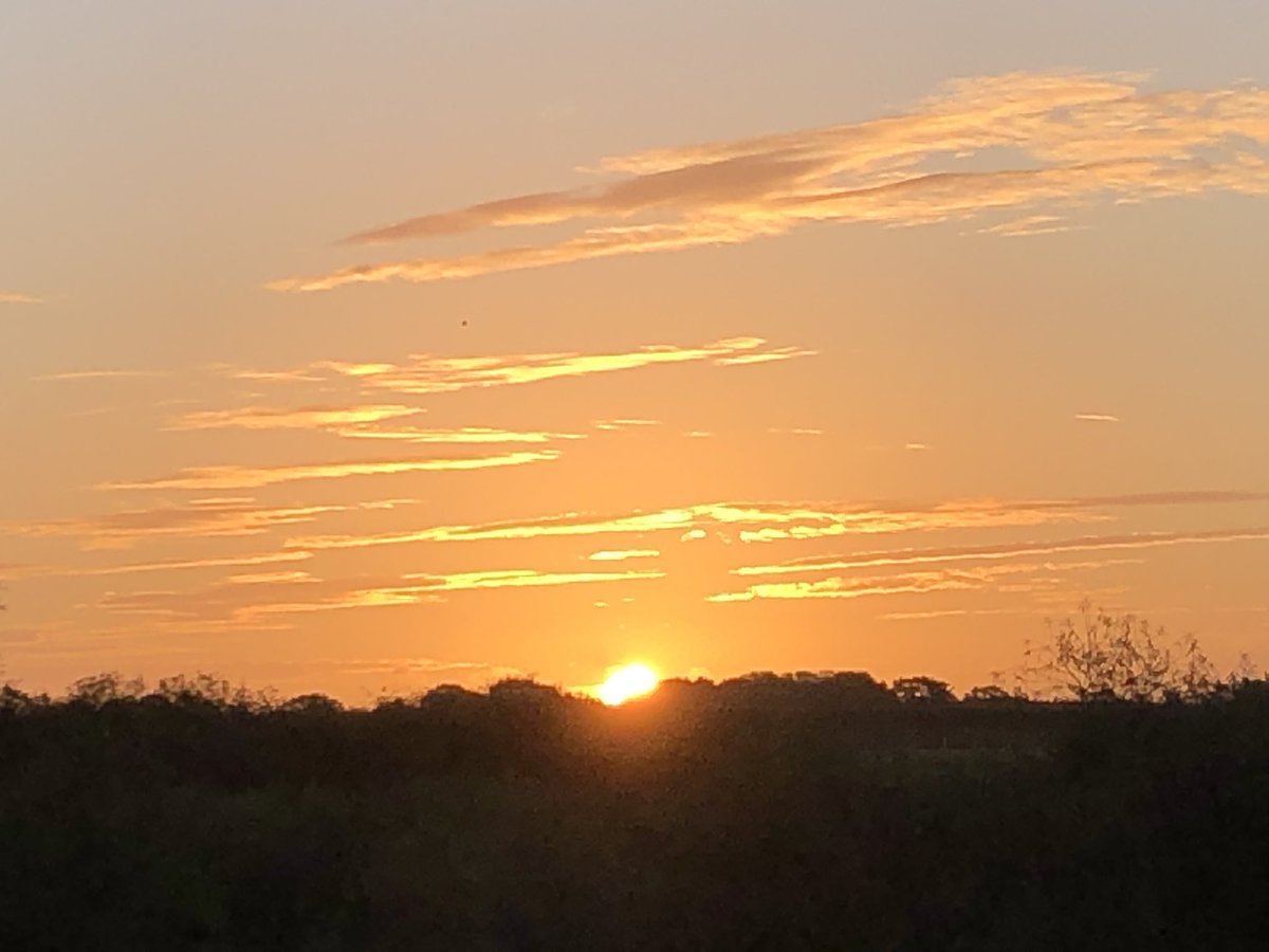 StaffyMick's tweet photo. Sunrise at Hornchurch Country Park, multi gold winner of London in bloom and only recently a winner of a Green Flag!! https://t.co/EVyLs3EcaK