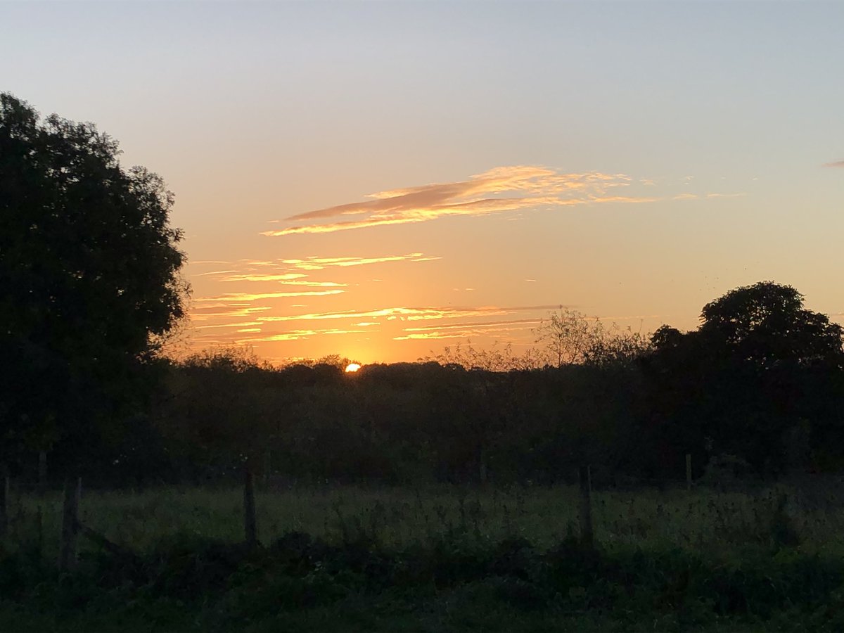 Sunrise at Hornchurch Country Park, multi gold winner of London in bloom and only recently a winner of a Green Flag!!