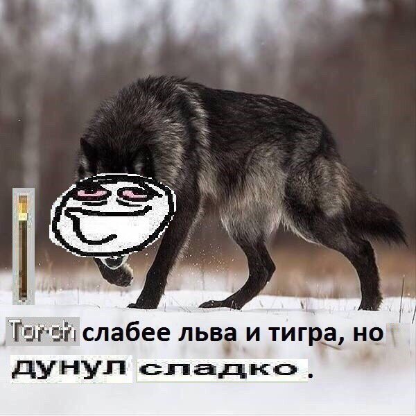 Ek_bKSnWkAEbvrB?format=jpg&name=small