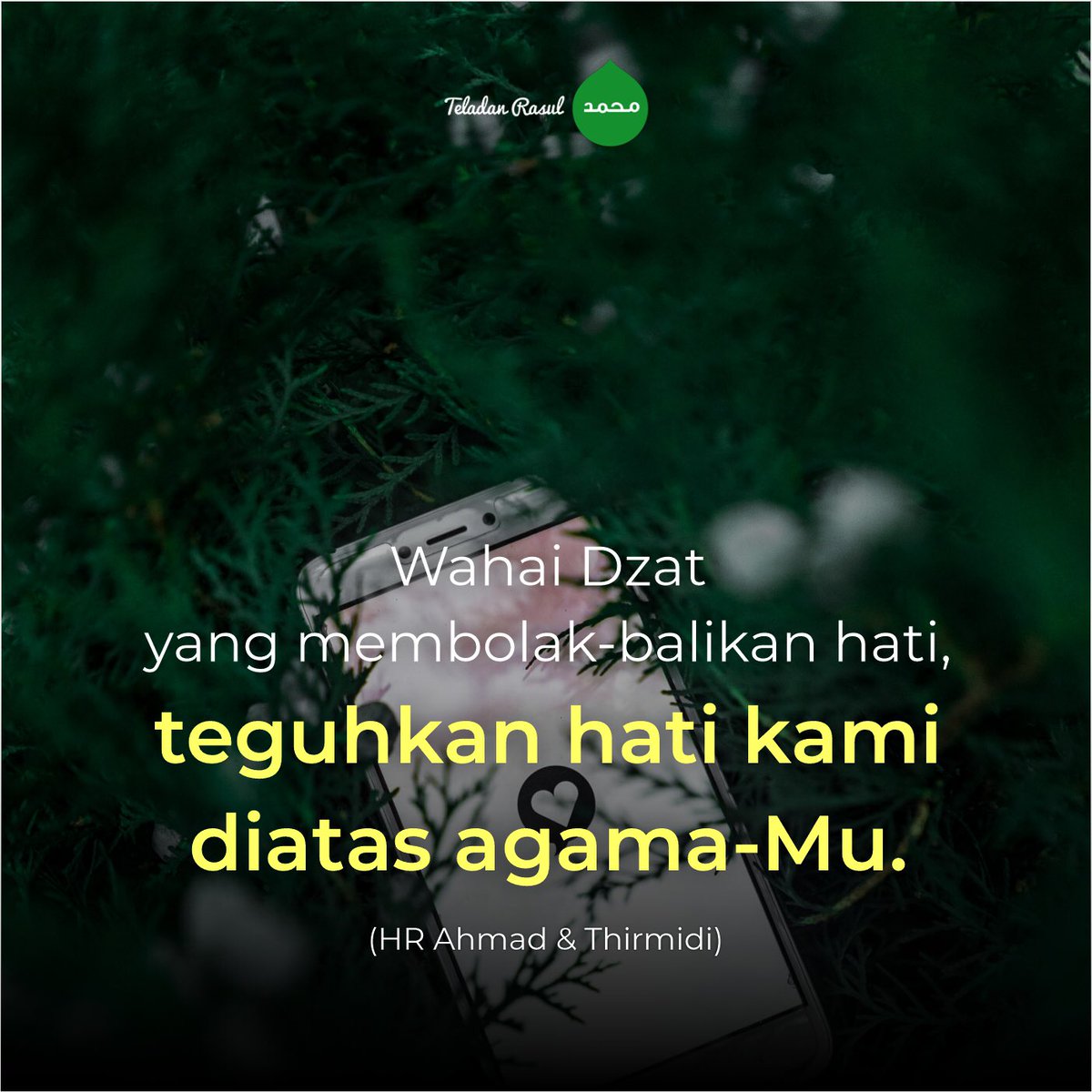 Teguhkan hati kami diatas agama-Mu yaa Rabb #TeladanRasul