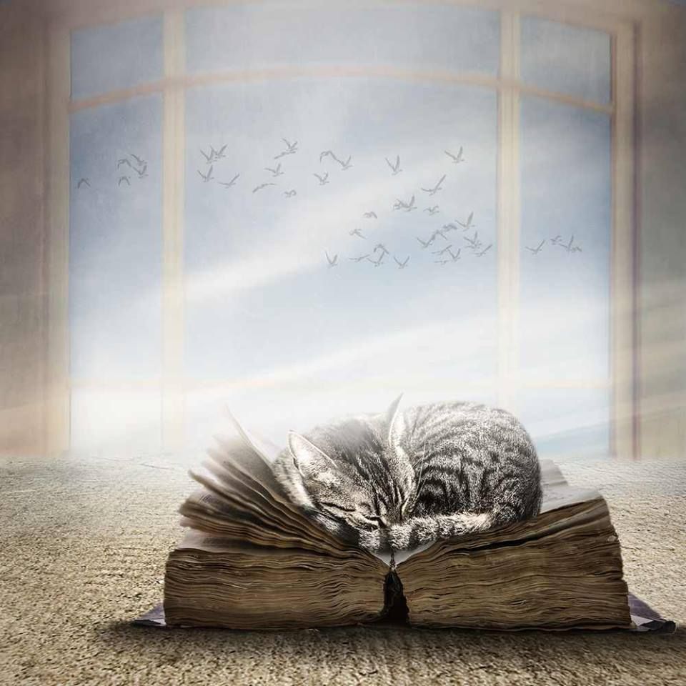 noveliciouss's tweet image. You might not write well every day, but you can always edit a bad page.
You can't edit a blank Page.
~Picoult
#writing 
#Art Ellger