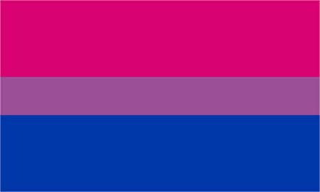 Twilight Sparkle and Sci-TwiBiromantic Asexual (I cannot find a proper flag so I used the separate flags)