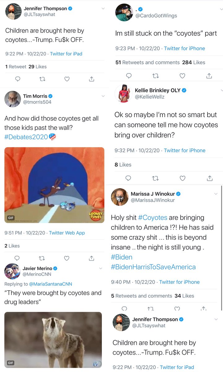 Tonight on blue checkmark twitter, they don’t know what coyotes are. (This isn’t even half of all I found )