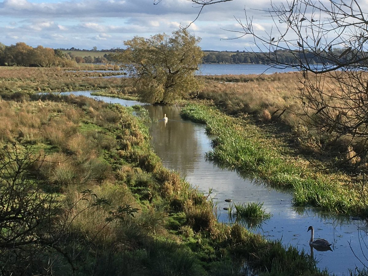 Day 6 of home alone (family of 5 plus  2 grand parents makes 7 so I stayed at home). Last day. Submitted first article from doctorate for publication (fingers crossed). Did some wet weeding at allotment and took dog for walk to Ely reservoir