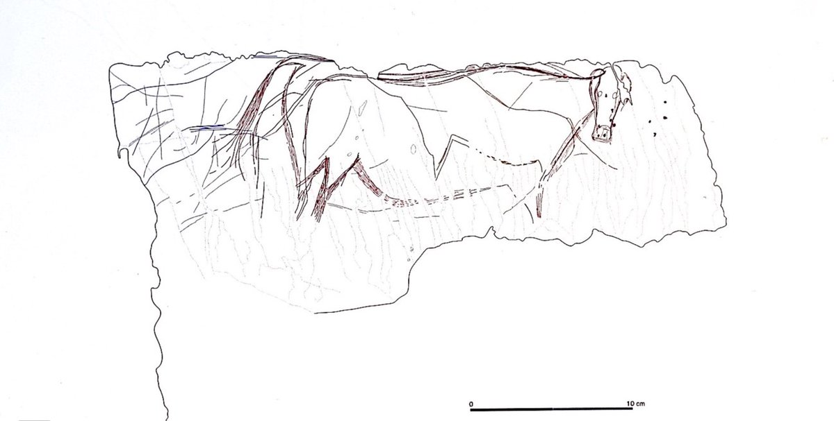 Hi friends! Today is  #FridayPaleoart again! We continue with the sites of the Duero Valley. Site:  #FozCôaPlace: Vila Nova de Foz Côa (Portugal)Motif: aurochChronology:  Gravettian-SolutreanA.M. Baptista