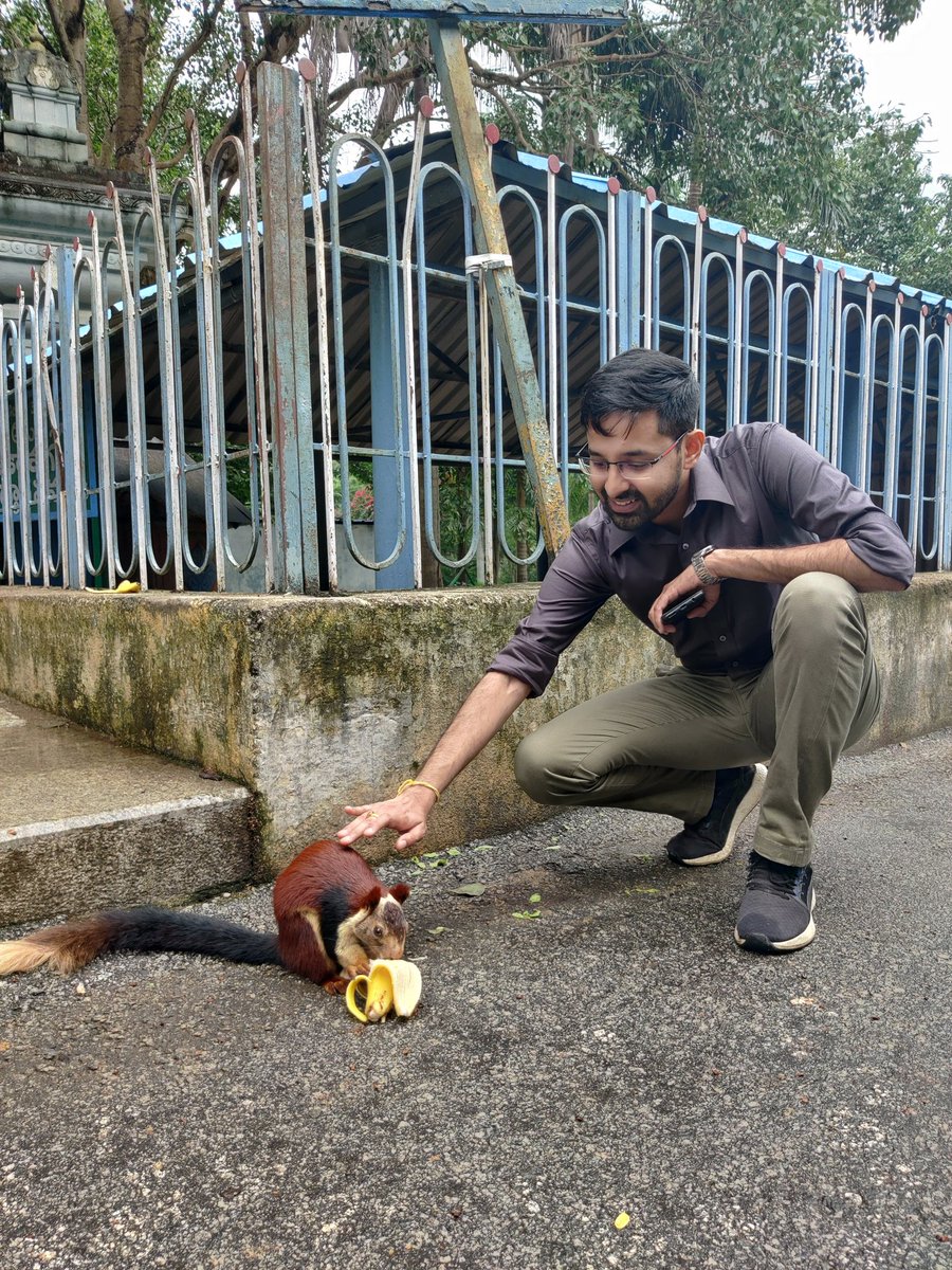 A cute encounter with Indian giant squirrel #Tirumala #easternghats #Squirrels #iastour