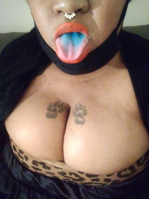 Is It Meeh or did you Miss Meeh!!! Send Debtcontract financial Domination Humanatm findom Femdom fetish<a href="/tag/newprofilepic"class="tags"><span>#newprofilepic</span></a>