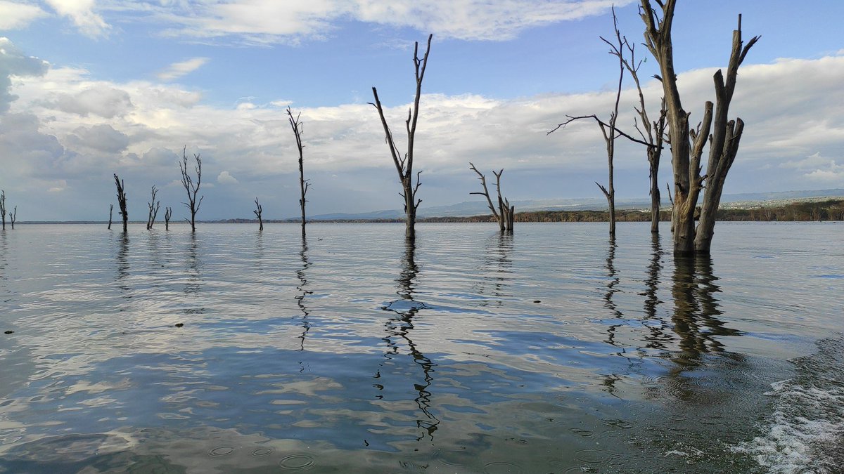 CharitySoni's tweet photo. Awesome shots at Lake Naivasha.
The outdoors is always rewarding and therapeutic.
#Magicalkenya #adventure360 #FridayThoughts #FridayVibes #FridayVibes https://t.co/ZhyqdB61PT