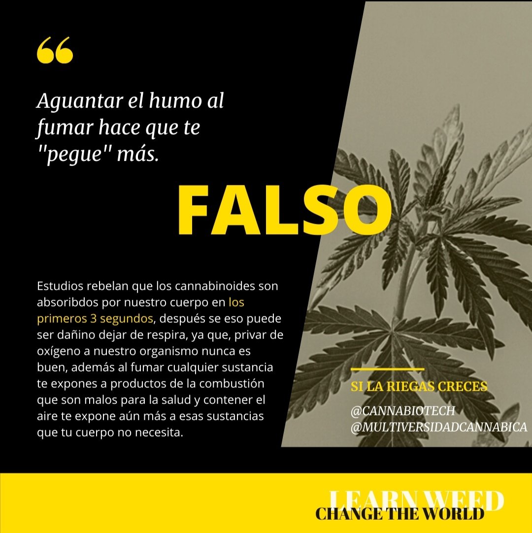 Cómo saber si una persona fuma porros: las 6 principales señales, image size:1080x1082