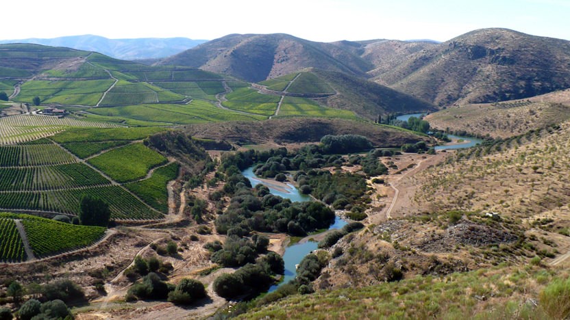 The first engraved ensembles in Foz Côa were discovered in the 80s. Later, in 1998, it was declared a World Heritage Site by  @UNESCO.