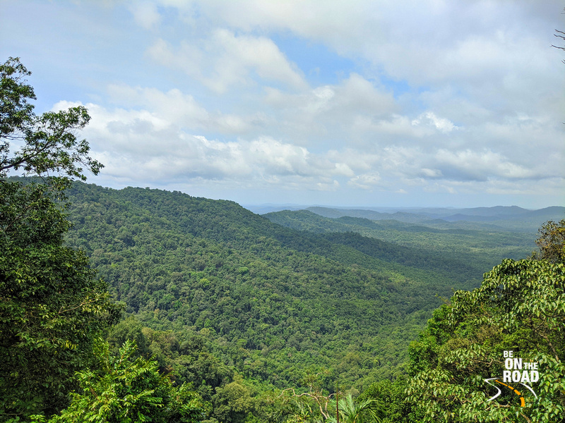 sankaracs's tweet photo. Wish to explore a hidden #MonsoonHoliday destination that is home to a pristine ecosystem of #TropicalForests, #MedicinalHerbs n many #wild species?
https://t.co/sOuuHd30m0
#WesternGhats #DevimaneGhat #UttaraKannada #IncredibleIndia #KarnatakaTourism #MotorcyclingHolidays https://t.co/DapQcrFt3C
