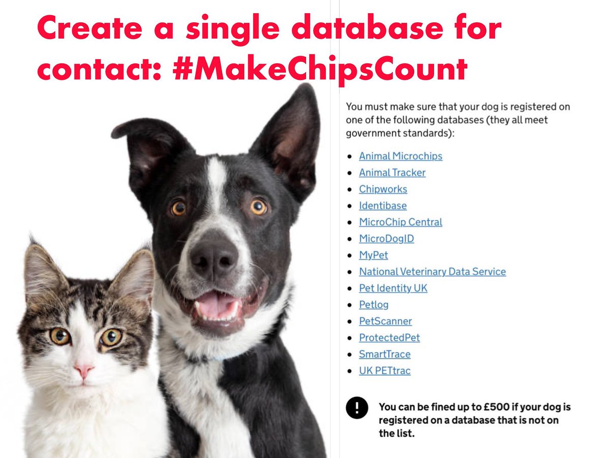 Tell Albert And Gerty tweet media