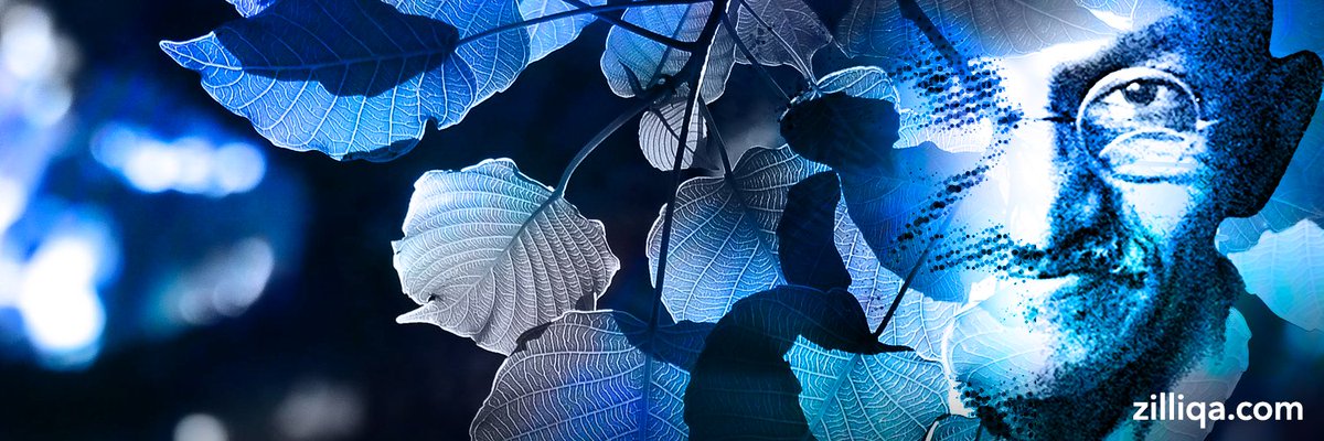 1⃣2⃣
#Zilliqa #Twitter #Covers - The Country Editions
🇮🇳 #India - Home of the Indian #Zilliqans
$ZIL #Zilliqa #ZIL #ZilliqaCommunity
#MahatmaGandhi #BodhiTree #FicusReligiosa #banyan #leaves #blue #peafowl 🦚 #colorpalette #nonviolent #resistance
#HumanityFirst https://t.co/S11ShY3MJL https://t.co/FrWUdKpuzu