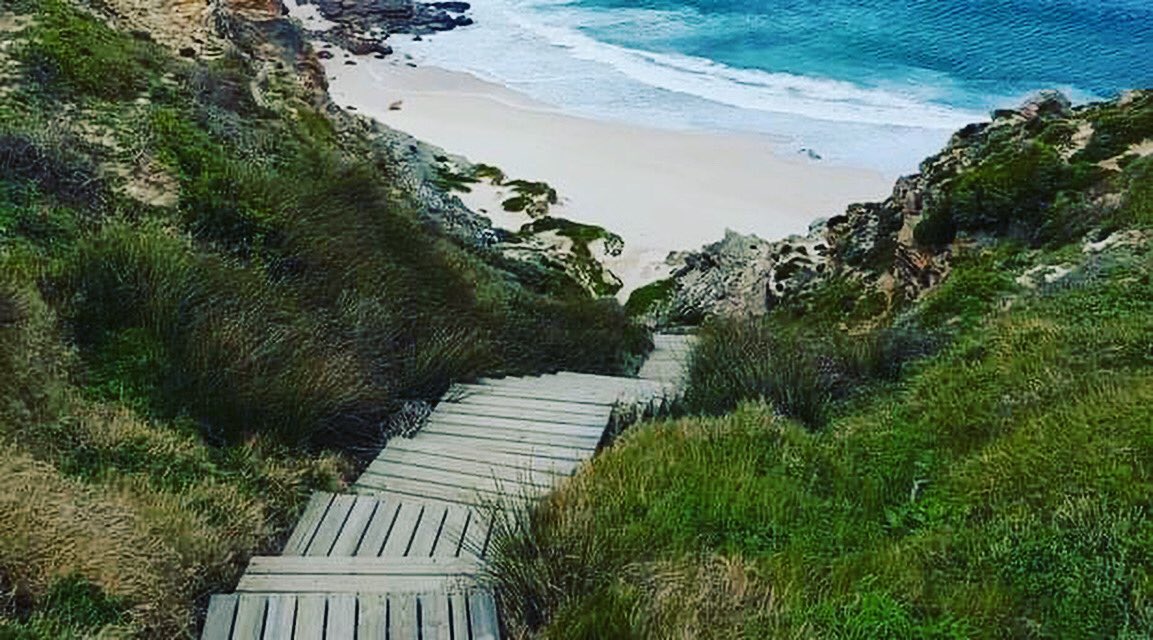 The #CapePeninsula is a dynamic place, filled with #hiddengems which should be explored and enjoyed by all types of travellers.
Head over to our Blog on our website to read more: simonstownguesthouse.co.za/blog/post/expl…
#simonstownguesthouse