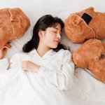 斬新すぎ!フェリシモユーモアからもっちりジューシーなクッション発売!
