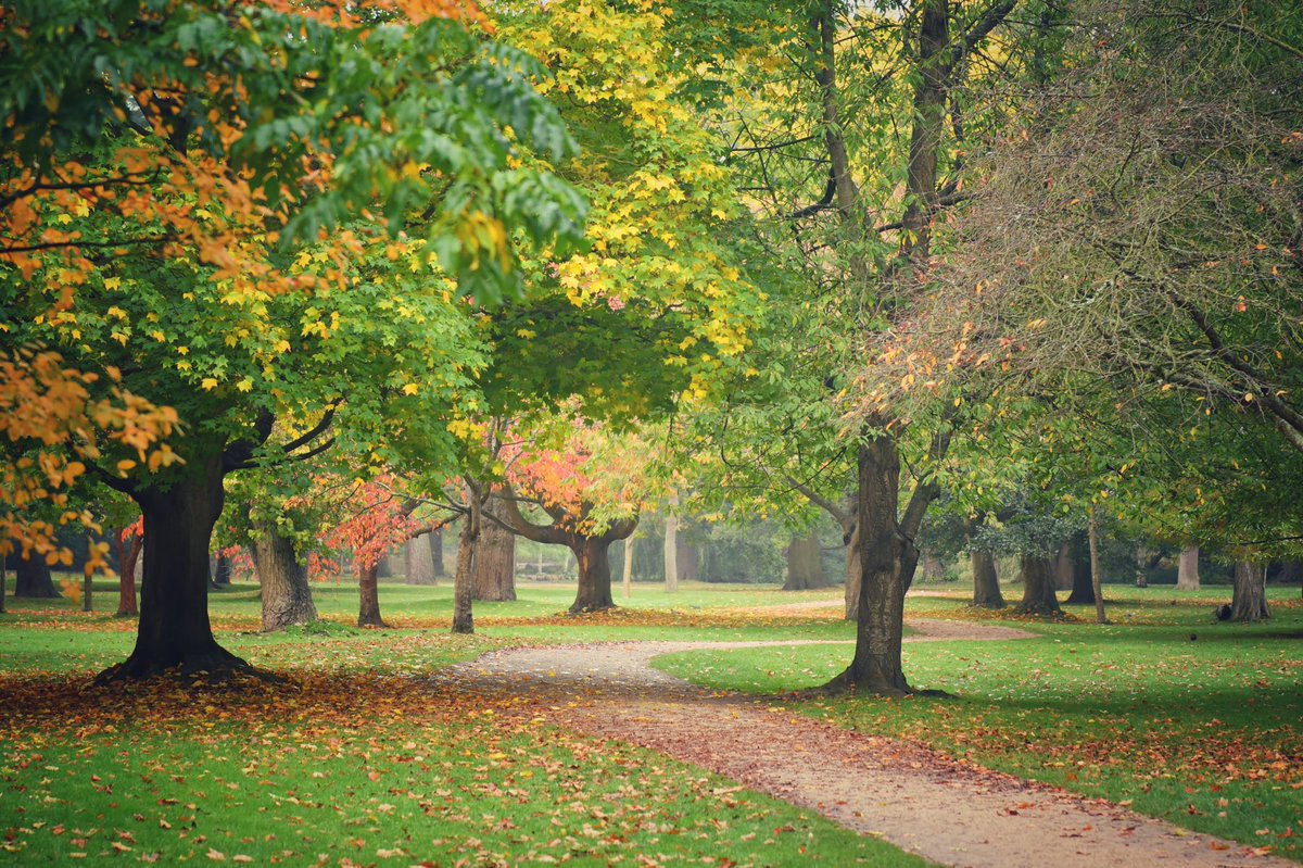 theroyalparks's tweet photo. It's been another stunning week in the Royal Parks! Here are some of our favourite #autumn photos, we'd love to see yours too.

📸: @Astrid_Tontson @BELLEGREENWICH  @robjdphotos @Urbanista_org

#autumncolours #autumnvibes #FridayFeeling https://t.co/faeVa0swxM