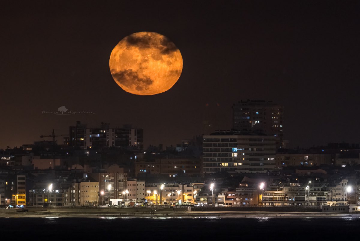 La Luna Llena saliendo sobre la ciudad de Las Palmas de Gran Canaria y la Playa de Las Canteras.
#grancanaria #laspalmasgc #canonespaña #liveforthestory @CanonEspana @VickyPalmaMeteo @El_Universo_Hoy #cielosESA @turismogc #PlayadelasCanteras #lascanteras #FullMoon https://t.co/oGjfHiakD1