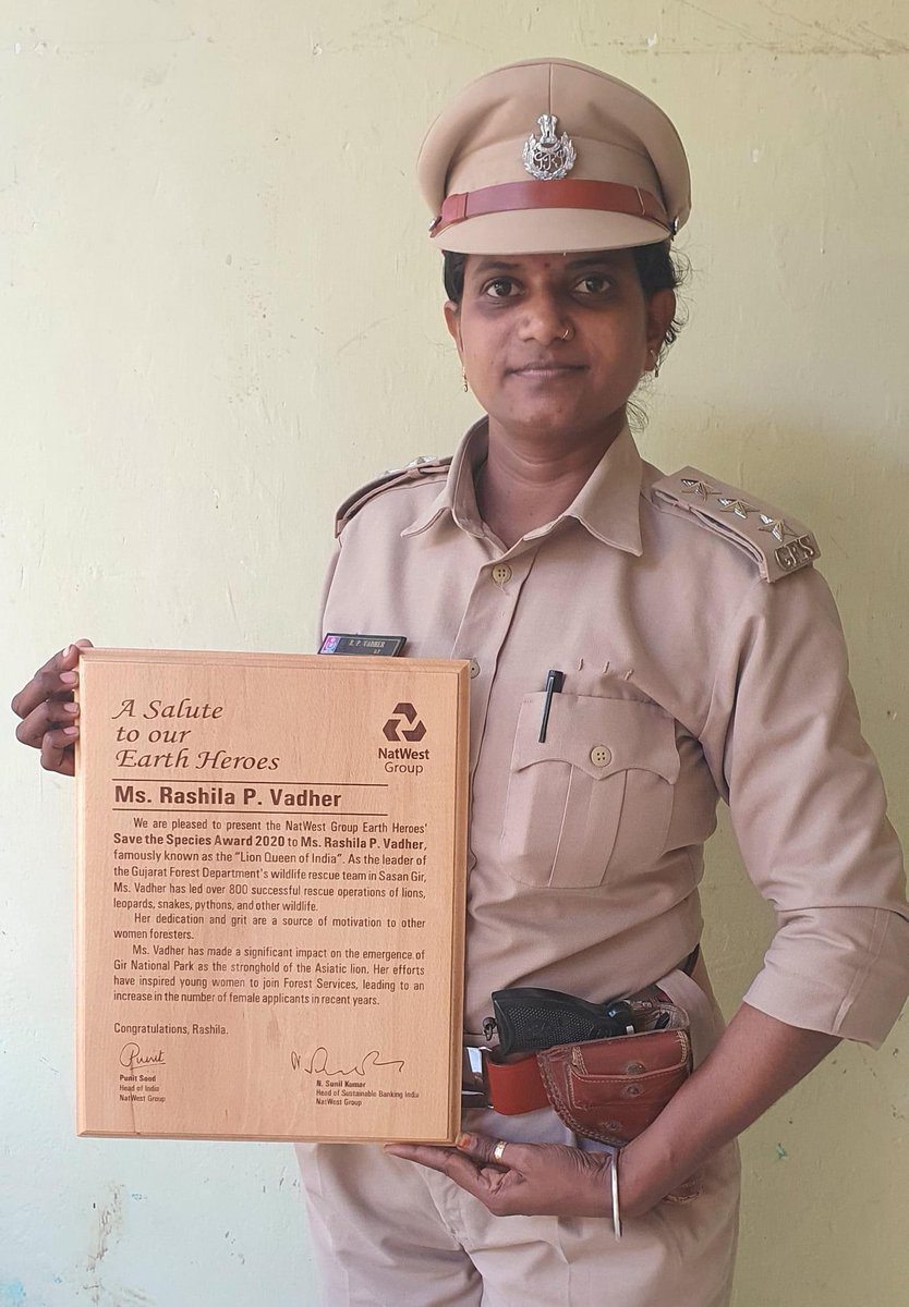 Ms Rasila P. Vadher receives NatWest “Save the Species Award 2020” ..
More power to Women #Foresters of India..👍
#LionQueenofIndia
#Gir
@GujForestDept @LadyIFSOfficers https://t.co/sfgbvTmGgr