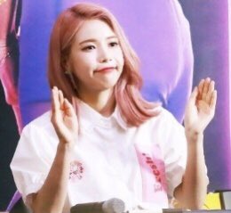 9. Solar likes to use squirtle hands to wave and greet Moomoos