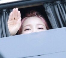 9. Solar likes to use squirtle hands to wave and greet Moomoos