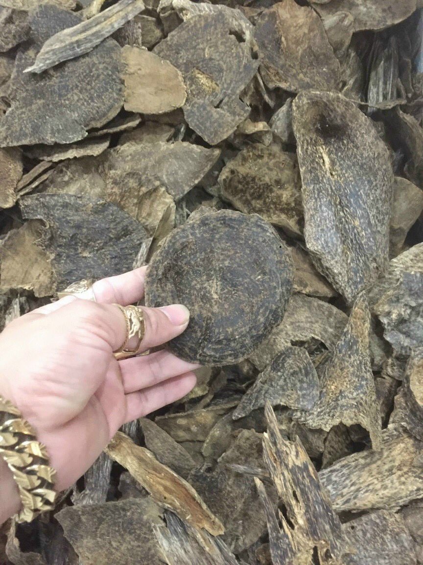 dantruongoud's tweet photo. Tripple super grade A viet nam, rich oil smell strongs
WHATSAPP:+84328.341.092
#trầmhương #agarwood #اللبان #aloewood #زيت_اللبان_العطري #oudoil #omanoud #dohaoud #vietnamoud #kuwaitoud #alwajidoud #manlinauoud #uaeoud #usaoud #jeddahoud #dubaioud #alainoud #quataroud #yamanoud https://t.co/JL6NmQmooO
