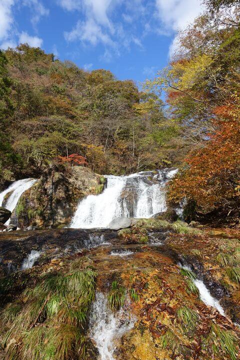 日光の穴場の紅葉狩りスポット
霧降隠れ三滝でハイキング
詳しくはコチラ→https://t.co/JhKxVz91iO
※写真は過去のものです。
#日光
#登山
#ハイキング
#ハイキングコース
#絶景
#旅
#旅行
#GoToキャンペーン
#GoToトラベル
#歩いてみたブログ
#iwalkedblog https://t.co/GU31E1GJDx