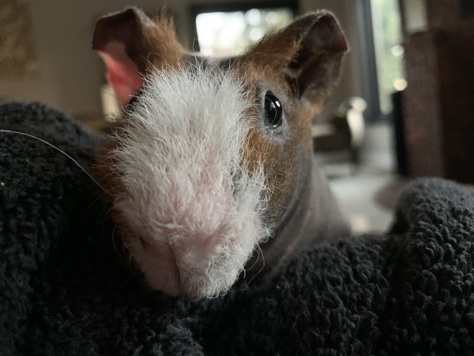 Hope you all can rest tonight, this is a long and ugly election, remember to take care of yourselves