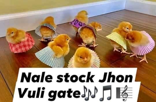 TumeloKganare's tweet image. #johnvuligatechallenge a very short story 😂😂😂